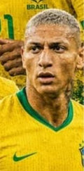 010 Brazil player artwork crop