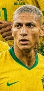 010 Brazil player artwork crop