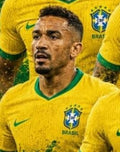 011 Brazil player artwork crop